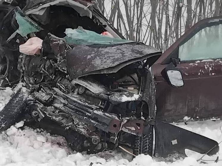 Трагедия на трассе: трое погибли в ДТП в Тогучинском районе