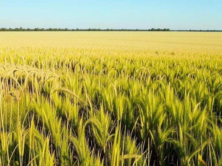 В Дагестане пройдет ярмарка вакансий для работников АПК