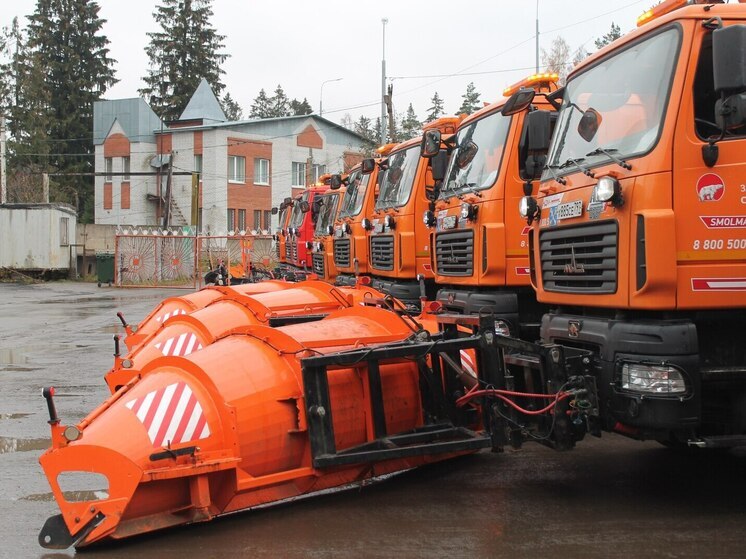 Дорожные службы Ленобласти перевели на усиленный режим работы из-за непогоды