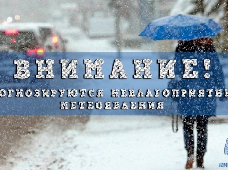 Внимание, непогода! МЧС выпустило предупреждение на 15 ноября