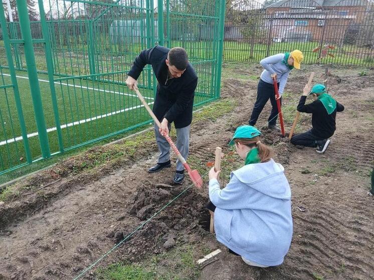 На Кубани высадили свыше 8 тысяч деревьев в рамках акции по восстановлению лесов
