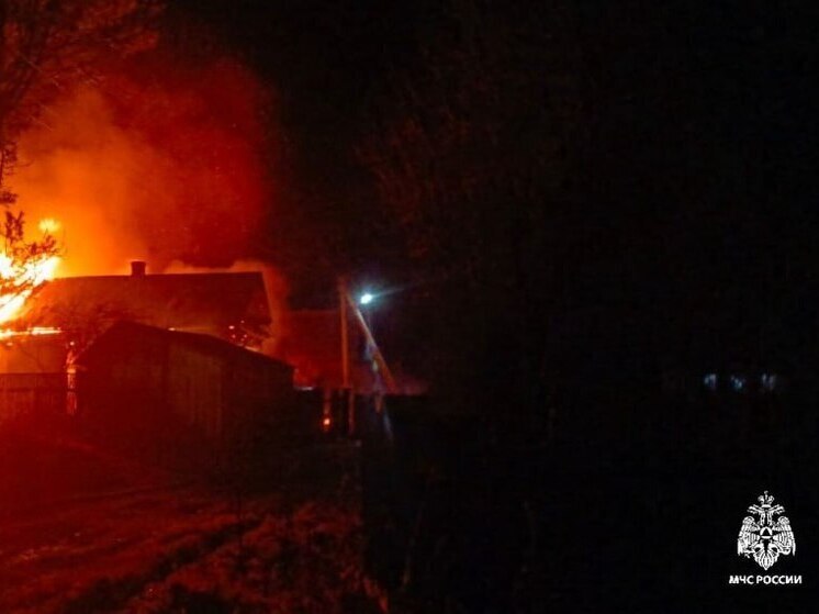 Минувшим днем в Костромской области сгорел дом и собачья будка