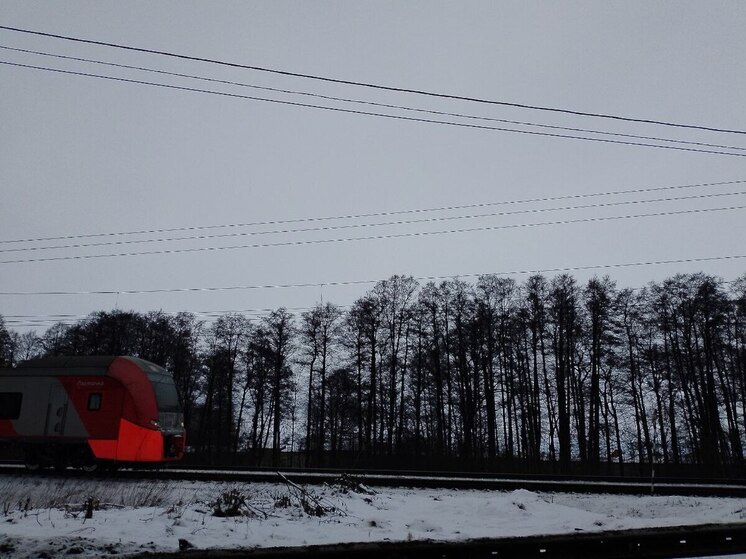 На станции Кирпичный завод мужчина выпивал на рельсах и попал под поезд