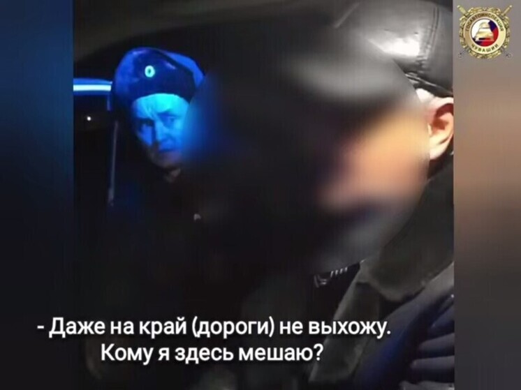 В Ибресинском округе инспекторы ДПС спасли мужчину, гулявшего ночью по трассе