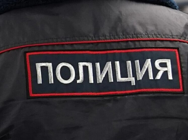 Полиция задержала туляка, похитившего электроинструменты на 4 тысячи