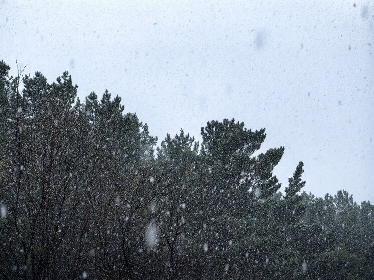 На трассе «Кола» от Кандалакши до Кильдинстроя открыли движение