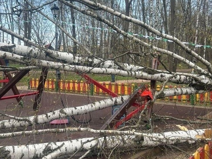 Пострадавший от упавшего дерева может взыскать компенсацию через суд