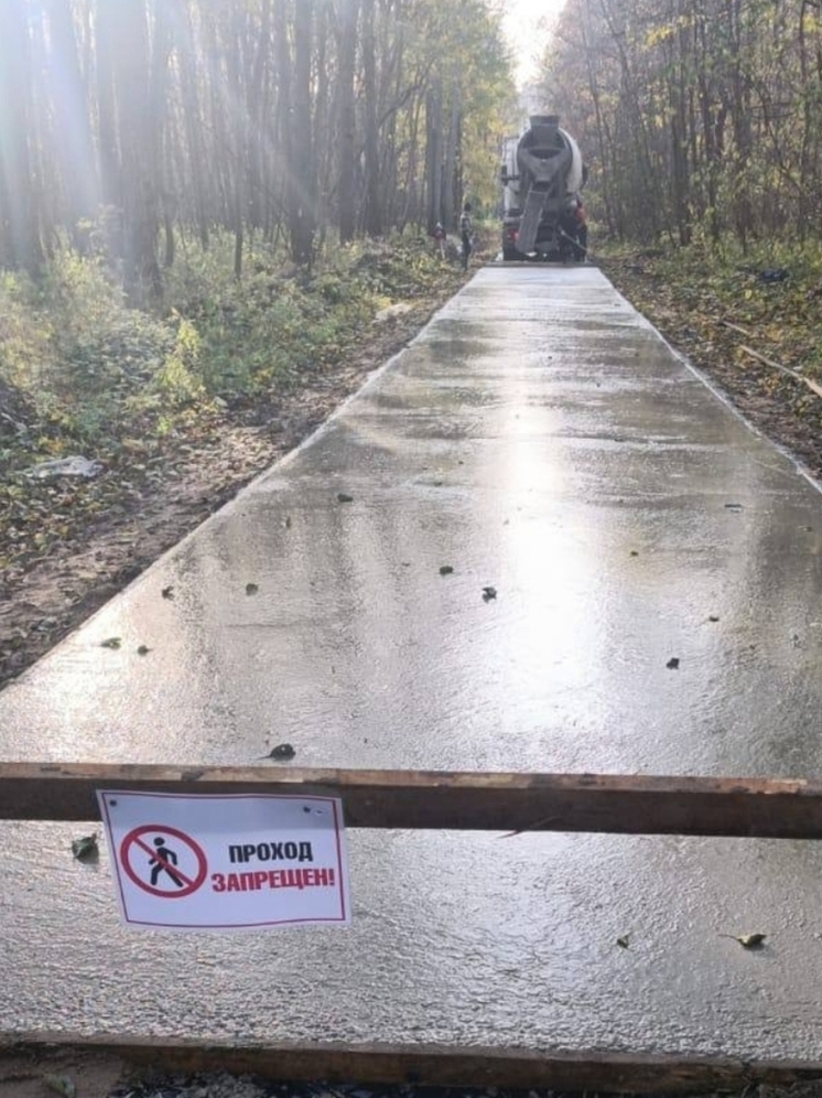 Строительство велотракта на Куршской косе вышло на новый этап