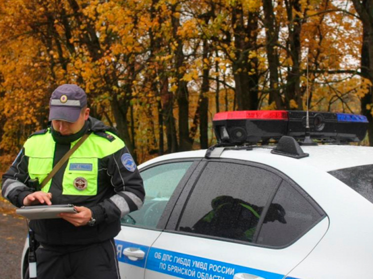 На дорогах в Брянской области начали работать комплексы «Кибер-шериф»