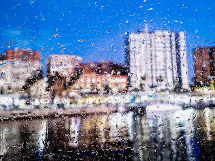 15 ноября брянцам синоптики обещают мокрый снег