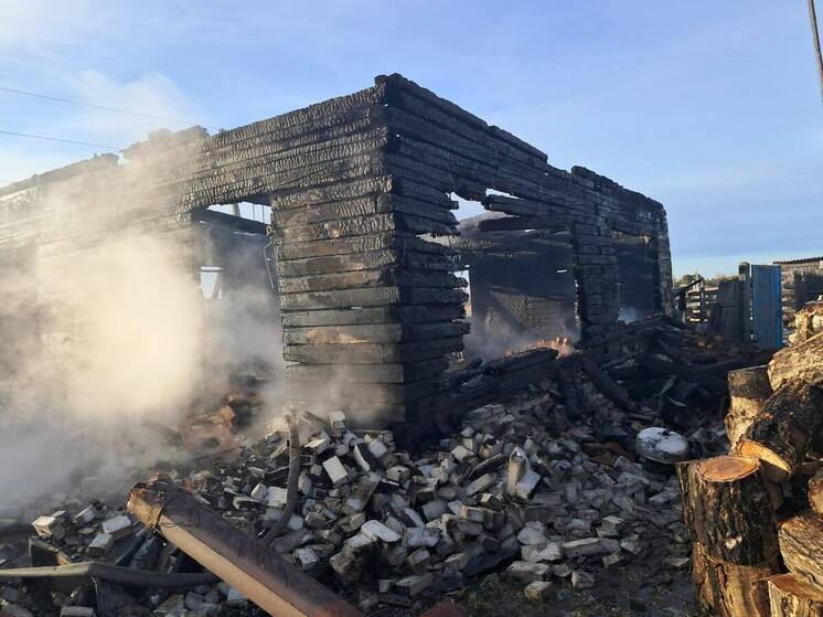Хозяин дома погиб при пожаре в курганской деревне