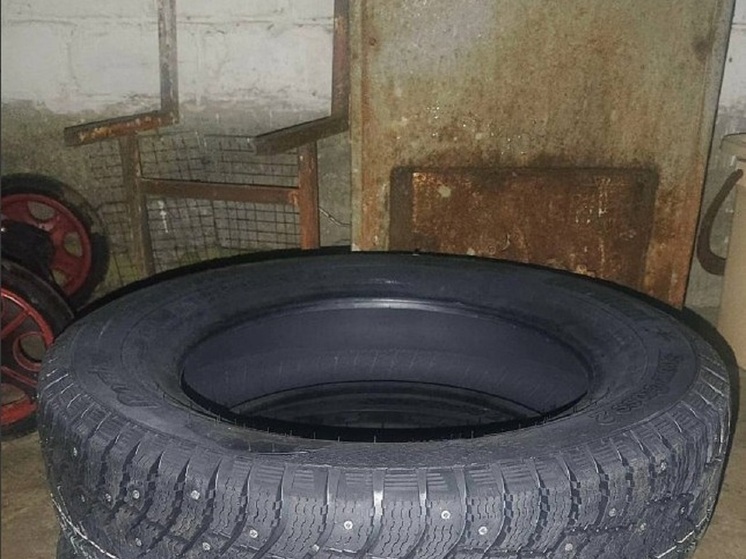 Жителя Калмыкии подозревают в краже автомобильных шин