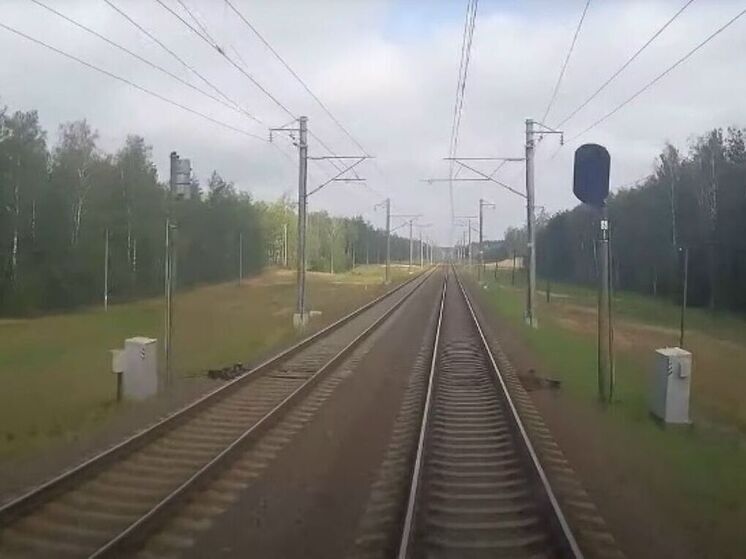 16-летний подросток подозревается в поджоге релейного шкафа