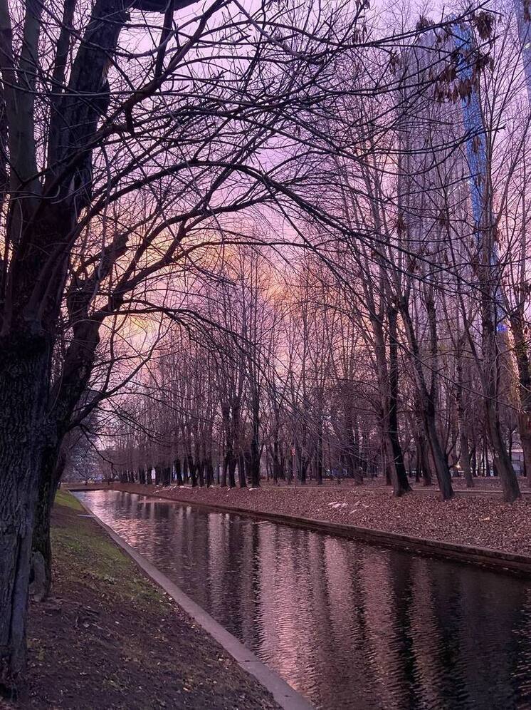 Тишковец: розовое небо над Москвой говорит о резком похолодании
