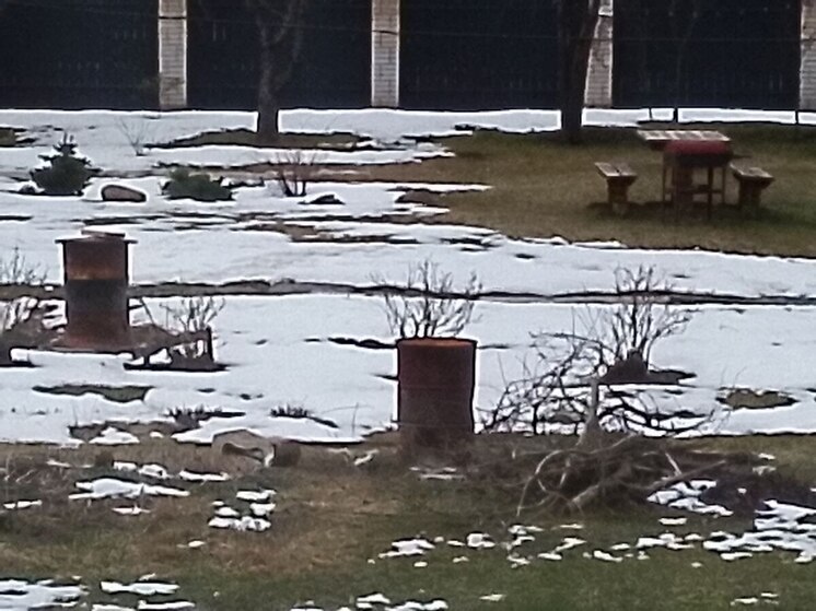 В ноябре и декабре основная часть приготовлений садов к зиме должна быть завершена. Задач к этому времени остается не так много, но они все очень важны, так как морозы уже совсем близко и от подготовки к ним прямо зависит здоровье сада и урожай в будущем году. О том, что это за задачи, как их выполнить правильно, рассказала «МК в Ленобласти» главный специалист отдела защиты растений, агрохимии, качества и безопасности растениеводческой продукции Донского филиала ЦОК АПК Анна Ильяшенко.