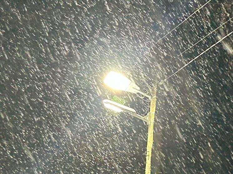 Штормовой ветер оборвал провода и повалил деревья в Вологде