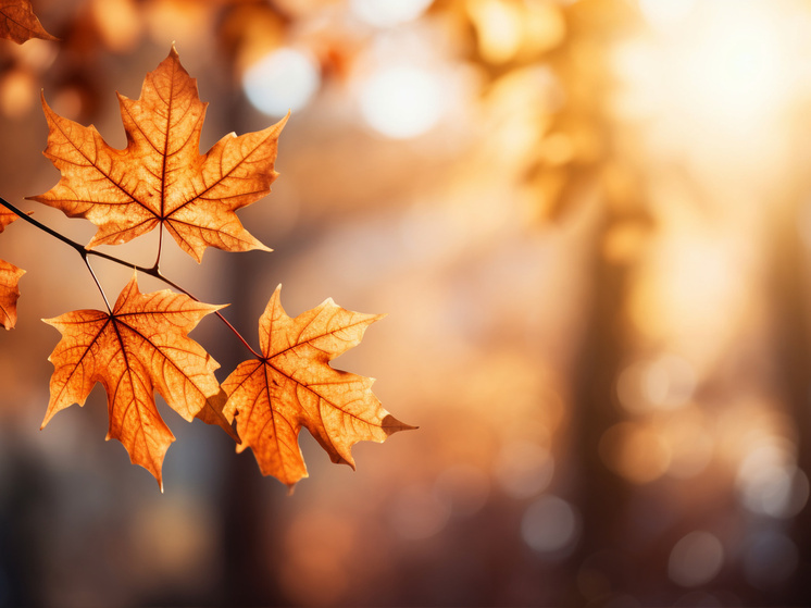 15 градусов тепла прогнозируют в Херсонской области в субботу