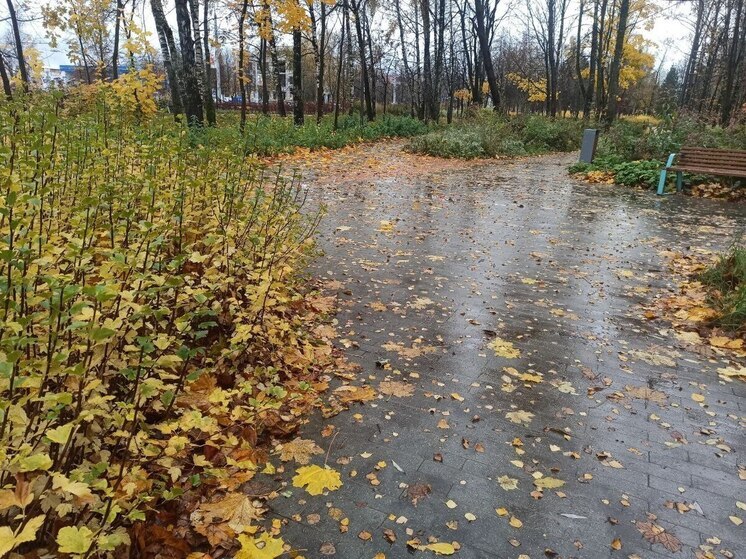 К Ивановской области приближаются три опасных погодных явления