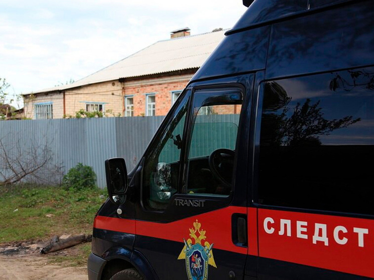 В Липецком округе женщина напала на сожителя с ножом