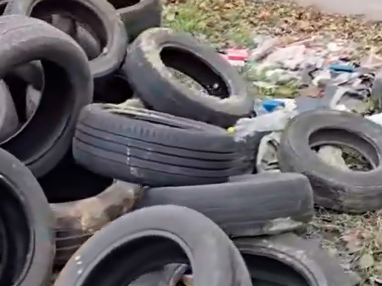 В Липецкой области назрела проблема утилизации автошин