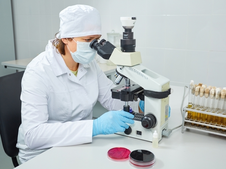 Специалисты Тверской испытательной лаборатории исследовали более 187 тысяч тонн пшеницы нового урожая