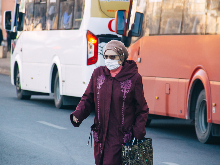 Меры поддержки для многовнуковых бабушек и дедушек введут в Рязанской области
