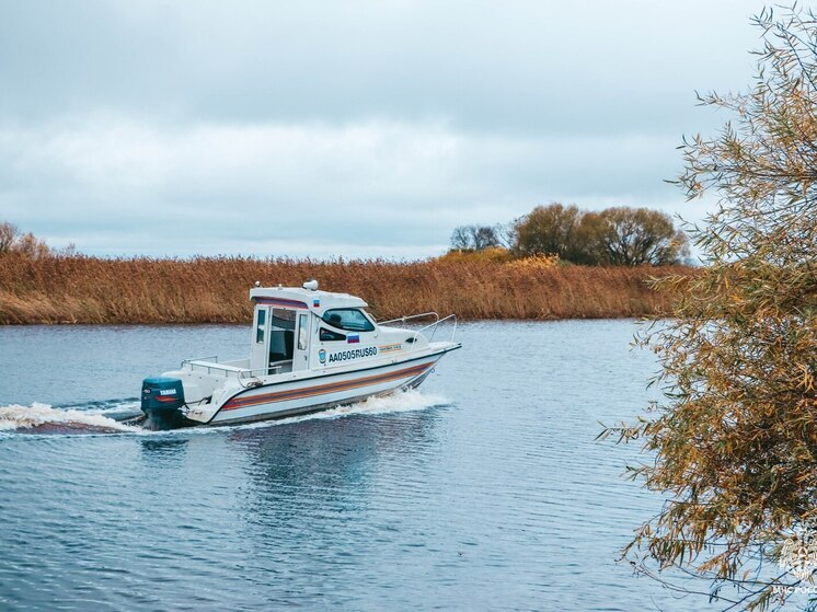 Число погибших на водоемах Псковской области продолжает расти