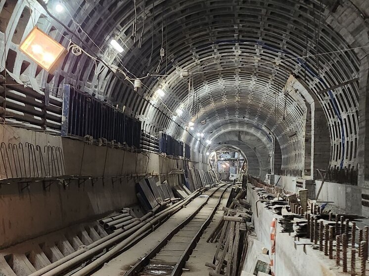 В Петербурге поезда на «коричневой» ветке будут ездить с интервалом в семь минут