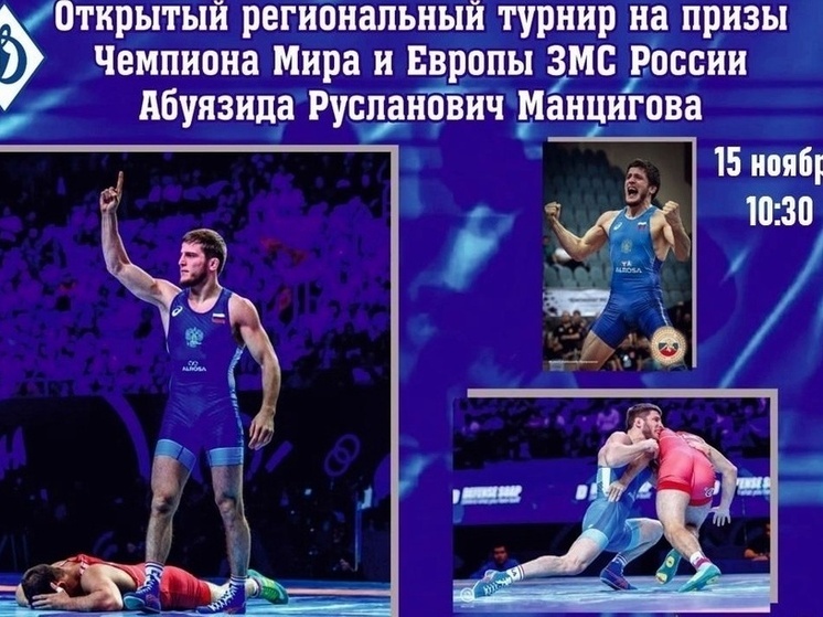 Турнир по греко-римской борьбе пройдет в Петушках