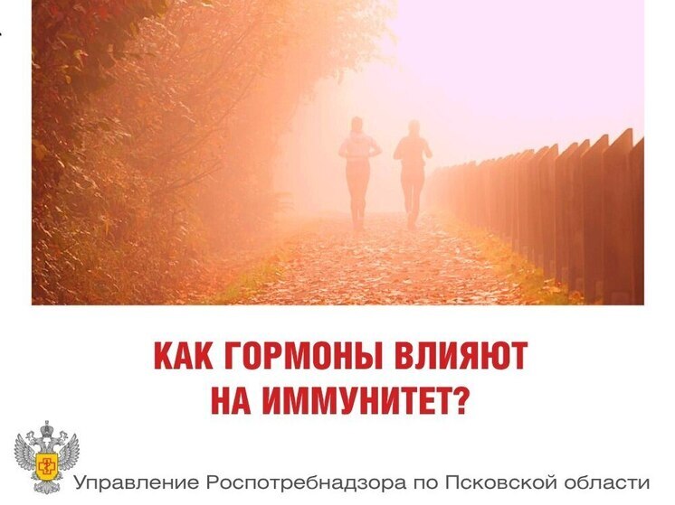 Гормоны и иммунитет: псковичам рассказали, как эндокринная система влияет на нашу защиту