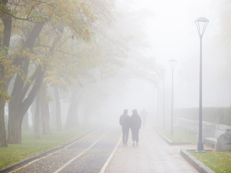 Астраханцам 15 ноября обещают туман при 12 градусах тепла