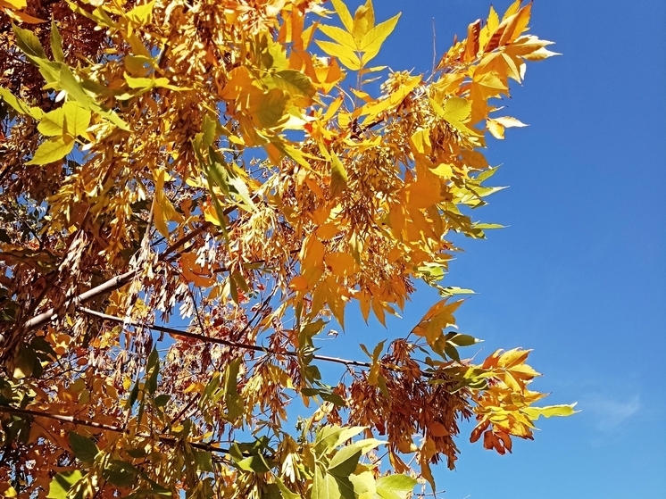 Сила магнитной бури 15 ноября составит 3 балла: пора пассивности и отдыха