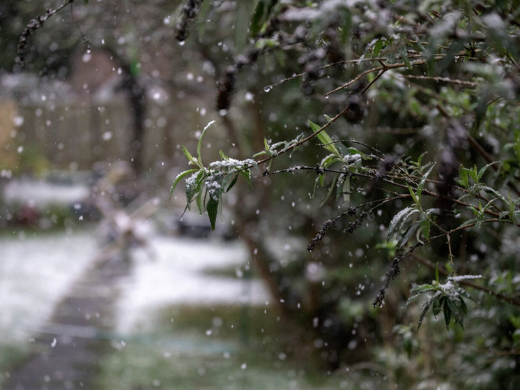 Липецкая область готовится к зимним испытаниям: похолодание и гололед на подходе