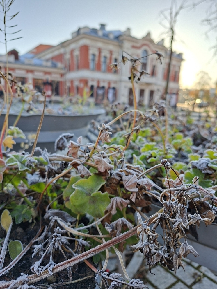 Псковская область готовится к переменчивой ноябрьской погоде