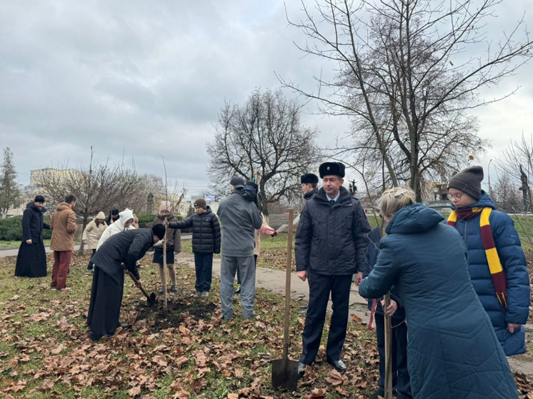В Орле в память о погибших в ДТП детях высадили 4 дерева