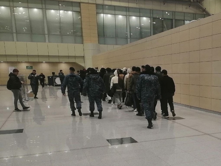 Ярославские приставы сказали 258-ми мигрантам «до свиданья»