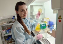 Пять молодых ученых из наукограда Серпухов были удостоены премии Губернатора Московской области.