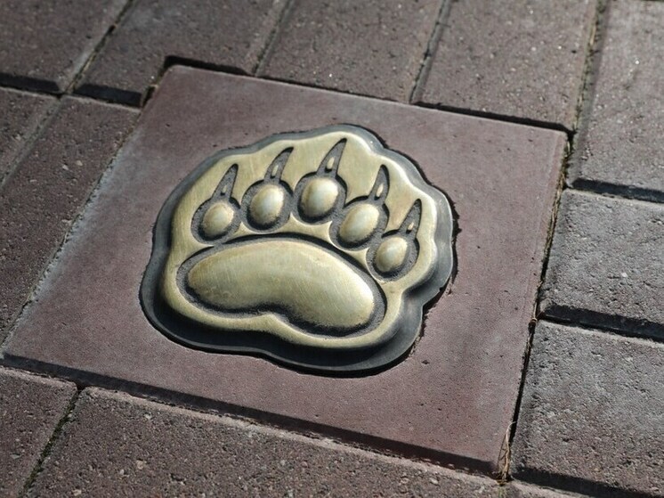 «Медвежья тропа» появится и в Ростове Великом