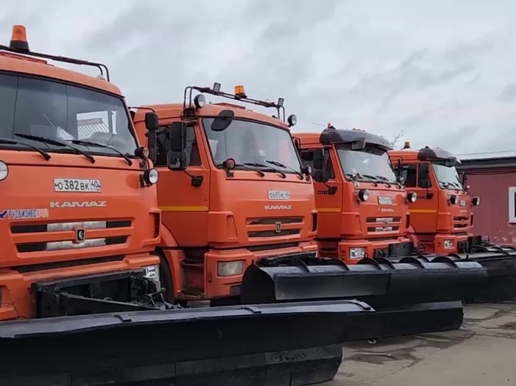 Улицы первого наукограда зимой будут убирать 46 спецмашин