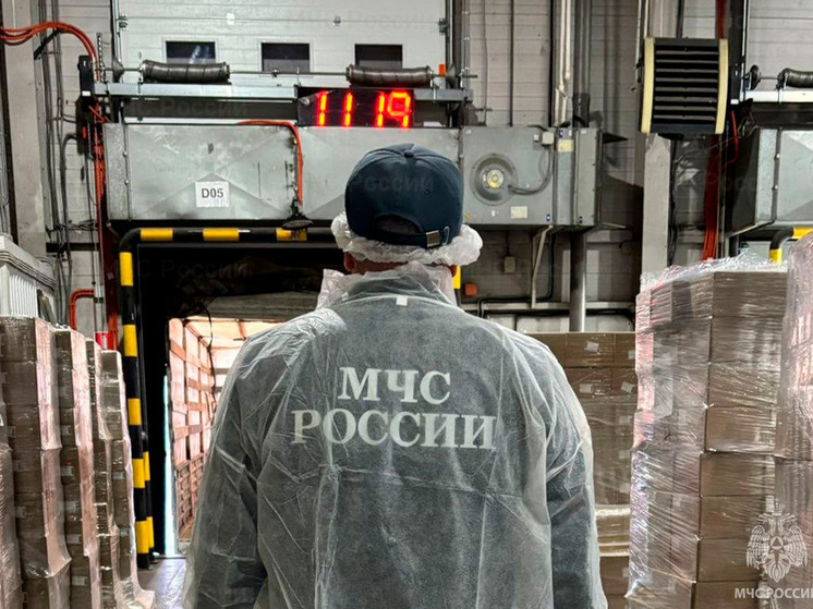 Сотни тонн детского питания отправлены из Липецка в пострадавшие регионы