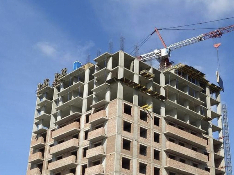 Рынок малоэтажного строительства в Новосибирской области переживает кризис: за год закрылись четыре из пяти компаний