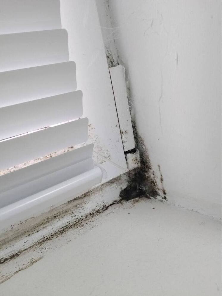 В Ярославле пациентки гинекологии пожаловались на черную плесень и холодрыгу.