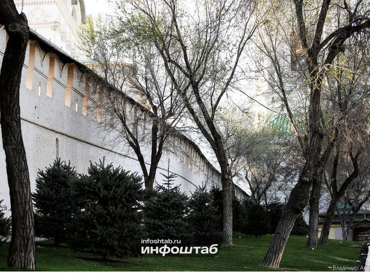 В астраханских мессенджерах распространяют фейковую информацию о массовых террактах в России