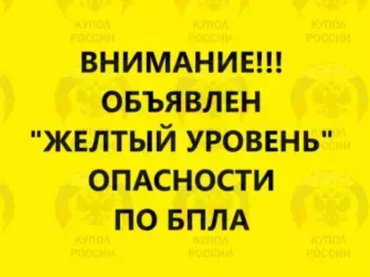 На Дону 14 ноября объявлен желтый уровень беспилотной опасности