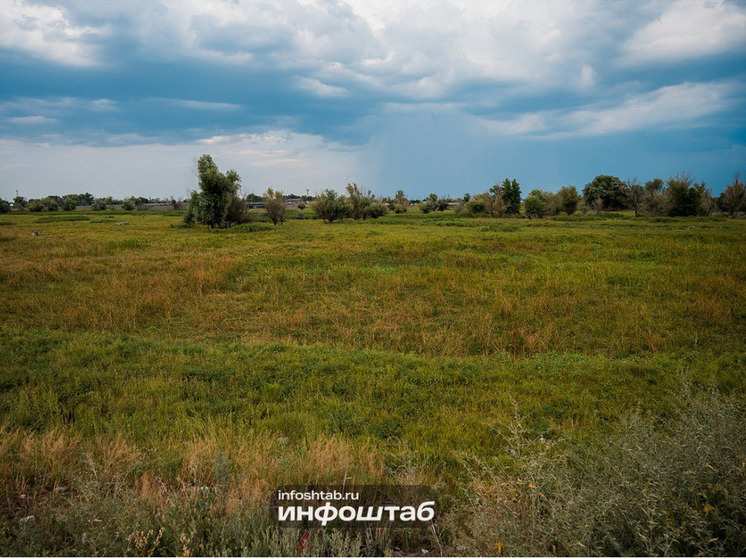 В Астраханской области лошадь провалилась в древний склеп