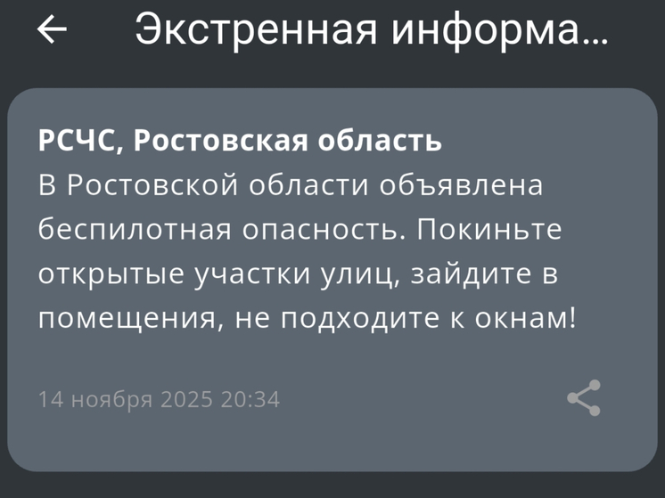 На Дону объявлен режим беспилотной опасности вечером 12 ноября