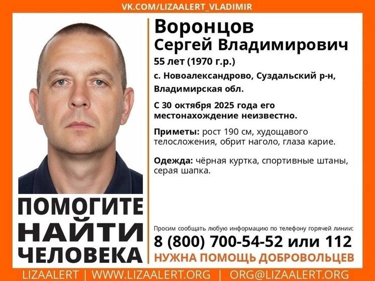 Во Владимирской области развернуты поиски 55-летнего мужчины