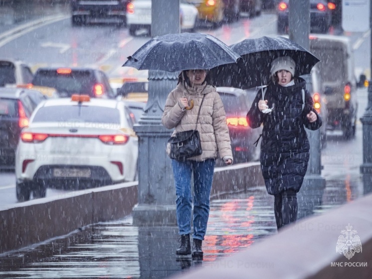 Сильный снег с дождем обрушится на Владимирскую область