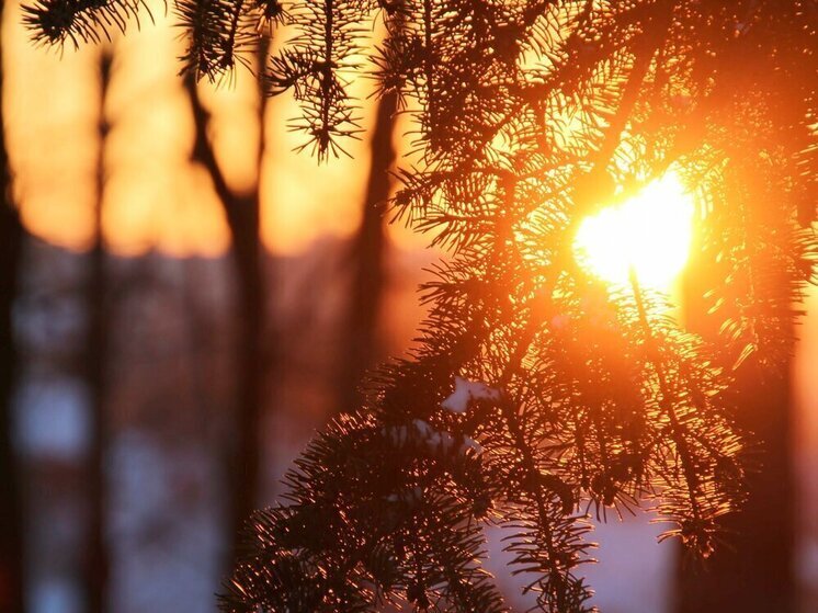 Эксперт рассказала псковичам про укрепление иммунитета перед зимним сезоном