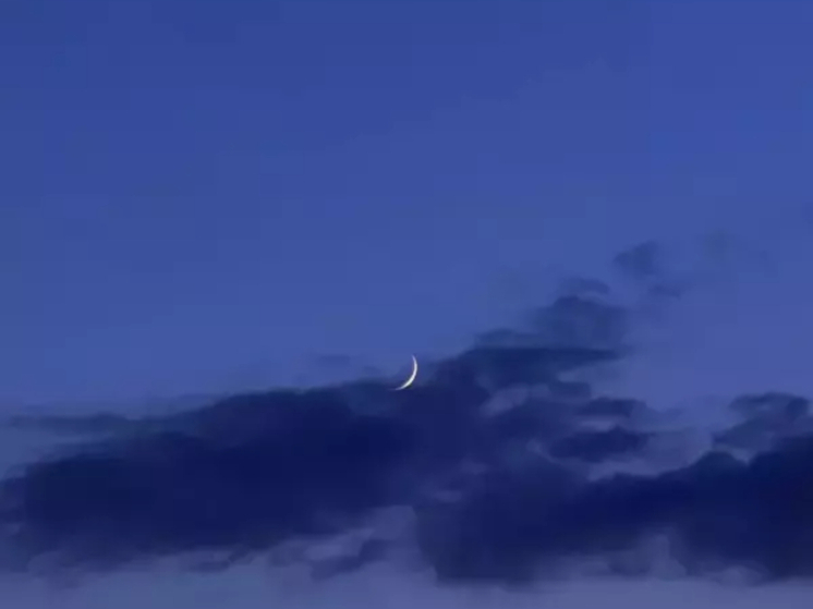 Силы ПВО уничтожили пять дронов над Ростовской областью 14 ноября